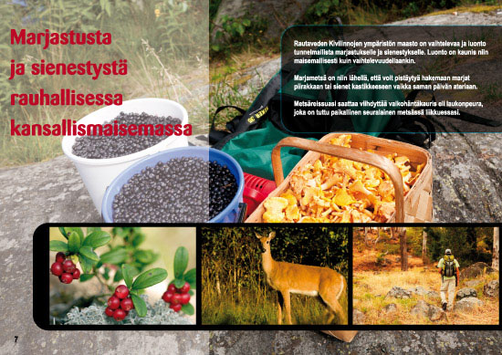 Kivilinnat esite sivu 9